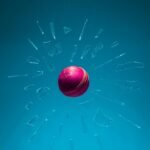 India vs South Africa, IND vs SA, T20I Series 2025, ODI Series Result, Cricket Head to Head, India South Africa Test Records, Virat Kohli, Quinton de Kock, T20 World Cup 2026.